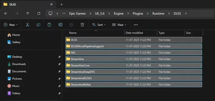 The eight DLSS package plugin folders
