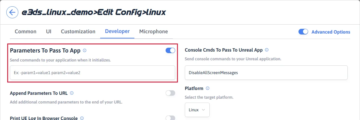 The Developer tab of a configuration, with Parameters To Pass To App highlighted: its switch on, and its field empty and showing the example text Ex: -param1=value1 param2=value2