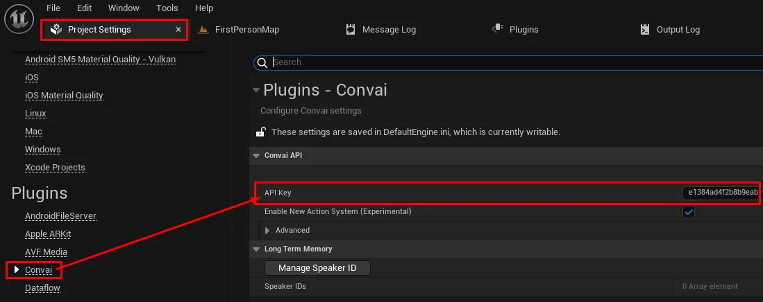 Entering the Convai API key in project settings